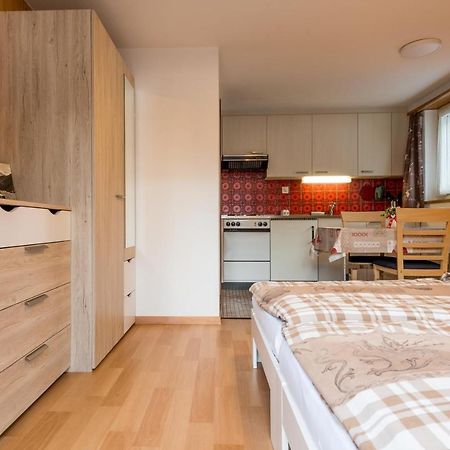 Апартаменты Haus Alpenblick Саас-Грунд Экстерьер фото